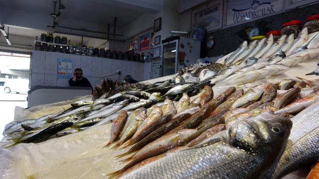 Bayram sonrası kıyı balıkçıları da balıkçı esnafının derdine derman olmadı