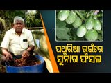 Meet A Rourkela Farmer Who Makes Handsome Profits By Farming Worms