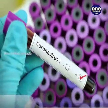 Positive Story: ರಾಜಧಾನಿ ಬೆಂಗಳೂರಿನಲ್ಲಿ ಸೋಂಕಿತರ ಸಂಖ್ಯೆಯಲ್ಲಿ ಇಳಿಮುಖ-ಲಾಕ್ ಡೌನ್ ಘೋಷಣೆ ಮಾಡಿದ ಬಳಿಕ ಕಡಿಮೆಯಾದ ಸೋಂಕು | Oneindia Kannada