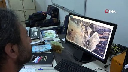 Mersin’de karaya vuran balinanın ölüm nedeni belli oldu