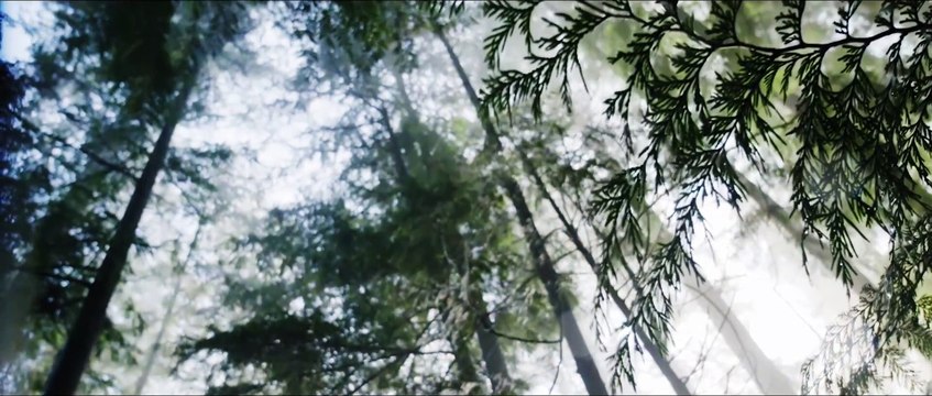 Beatrice Dragnea ❌ Adrian Minune - Zana Videoclip Oficial