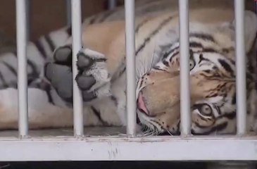 เรื่องพลบค่ำ ช่วงที่ 2 วันจันทร์ที่ 17 พ.ค.64