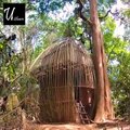 Make A Private Bamboo House And Swimming Pool In Forest | Amazing World |