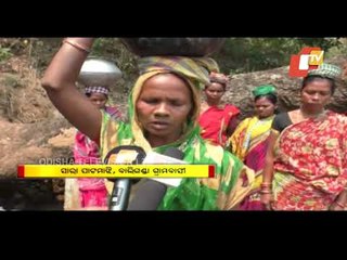 Water Scarcity Grips This Village In Mohana - OTV Report
