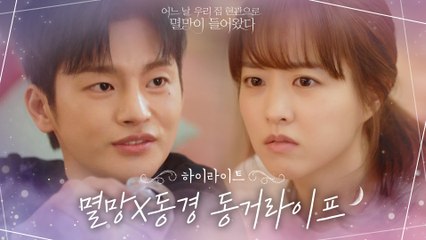 3화#하이라이트#내 집인듯 내 집 아닌 내 집 같은 한집살이 시작한 박보영X서인국