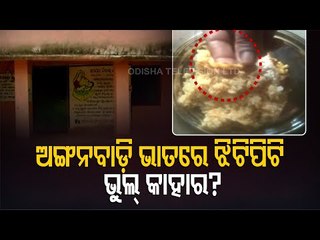 Children Falling Ill To Food With Lizard - Sub Collector Stops Salary Of Anganwadi Worker