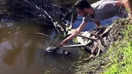 Timsaha gözlük takmaya çalışan 'yürek yemiş' vatandaş