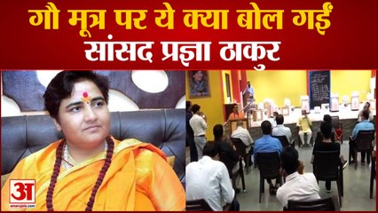 Cow Urine पर MP Pragya Thakur का अजीबो-गरीब बयान, बोलीं- इससे नहीं होता Lungs Infection