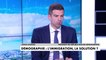 Jonas Haddad : «François Bayrou veut faire exploser l'immigration en France»