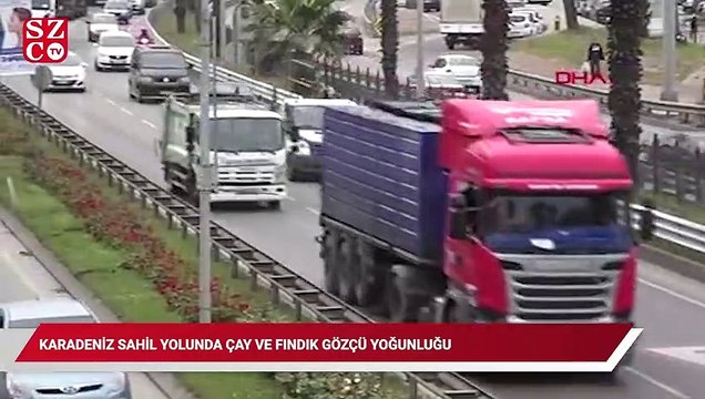 Karadeniz Sahil Yolu'nda çay ve fındık göçü yoğunluğu