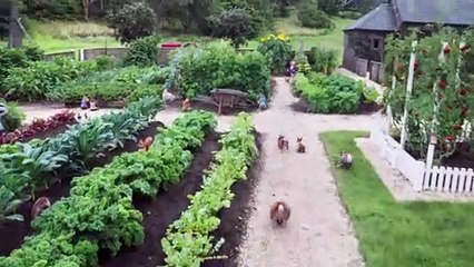 Peter Rabbit 2: The Runaway - Official Trailer
