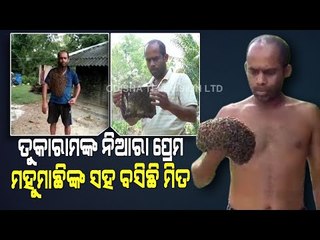 Special Story | Balasore Youth Takes Beekeeping To New Heights - OTV Report