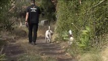 La Guardia Civil busca con perros pistas en la vivienda del padre de Anna y Olivia en Tenerife