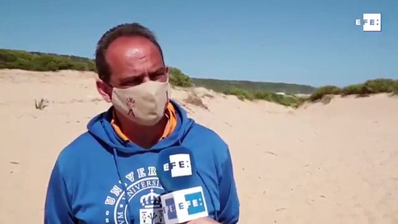 Termas romanas en el cabo de Trafalgar (Cádiz)