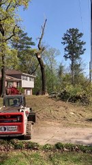 Big Tree Felling Fail in Birmingham