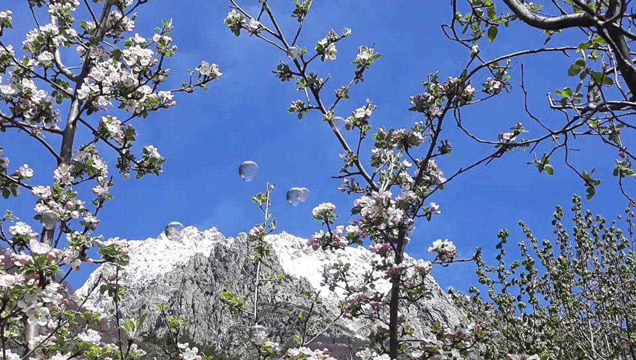 Catherine, accompagnatrice de l'être