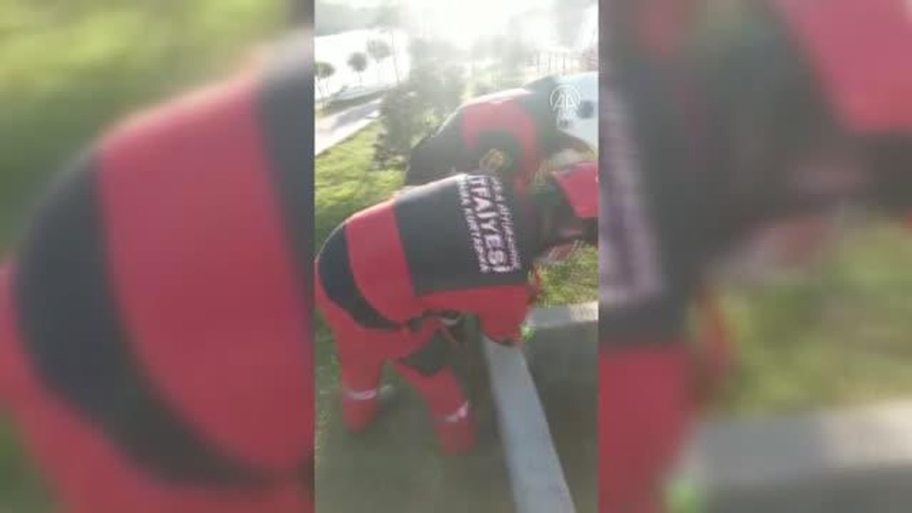 Son Dakika | Çukura düşen domuz yavrusunu itfaiye kurtardı