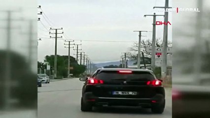 Başıboş at sürücülere zor anlar yaşattı