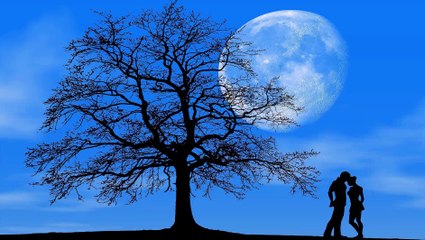 Relaxing Music Sleep, Relaxing Music for Studying, Relaxing Music for Stress Relief