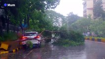 Heavy rain lashes Mumbai as monster cyclone approaches India