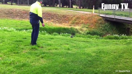 ANIMALES ATACANDO A PERSONAS