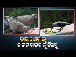 Bhagya Rekha - Know Your Horoscope For Today 30 March 2021 | OTV