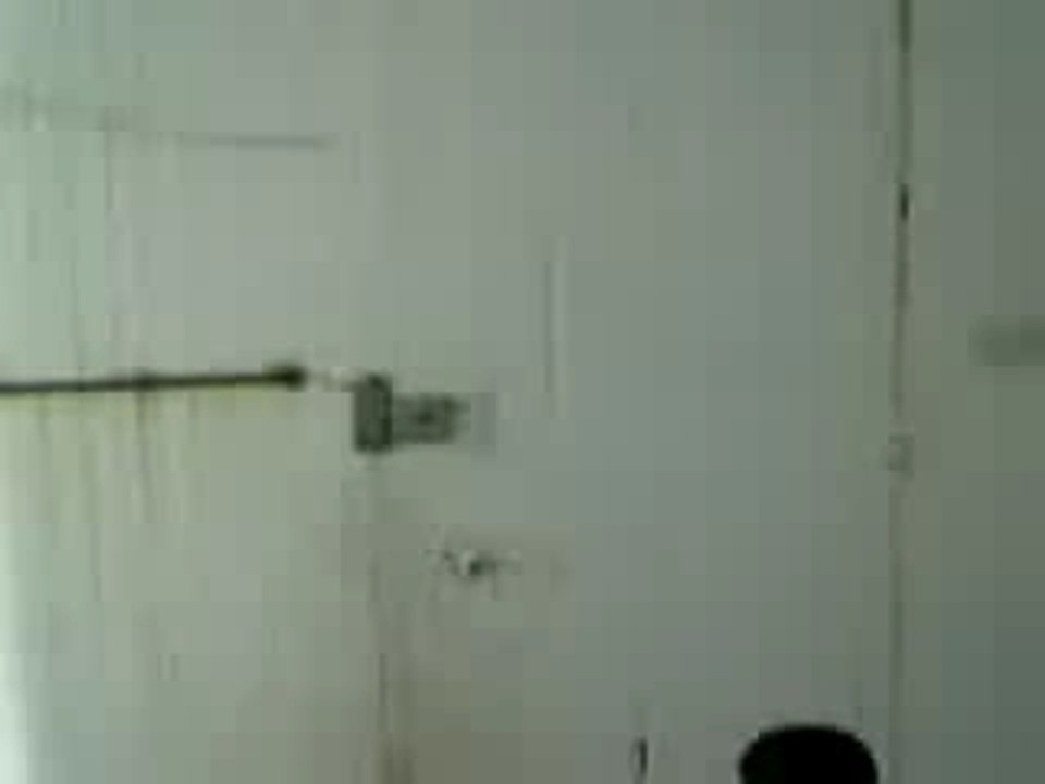 186394_14520061