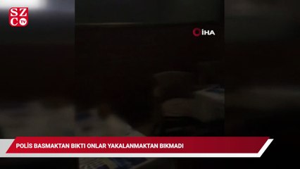 Polis basmaktan bıktı, onlar yakalanmaktan bıkmadı