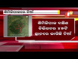 Fire Rages Again In Similipal Forest