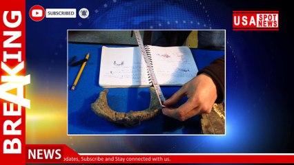 New species of crested dinosaur identified in Mexico