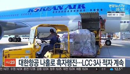 대한항공 나홀로 흑자행진…LCC 3사 적자 계속