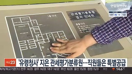 '유령청사' 지은 관세평가분류원…직원들은 특별공급