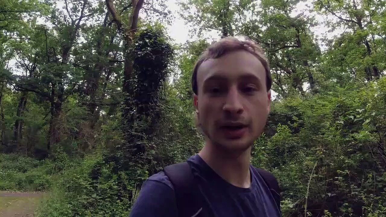 Lapsus - "J'arrête de poster un certain nombre d'arabes"