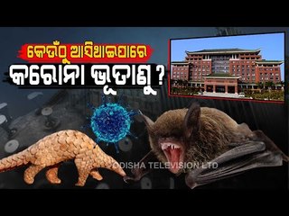 Special Story | Where Did Coronavirus Come From ?