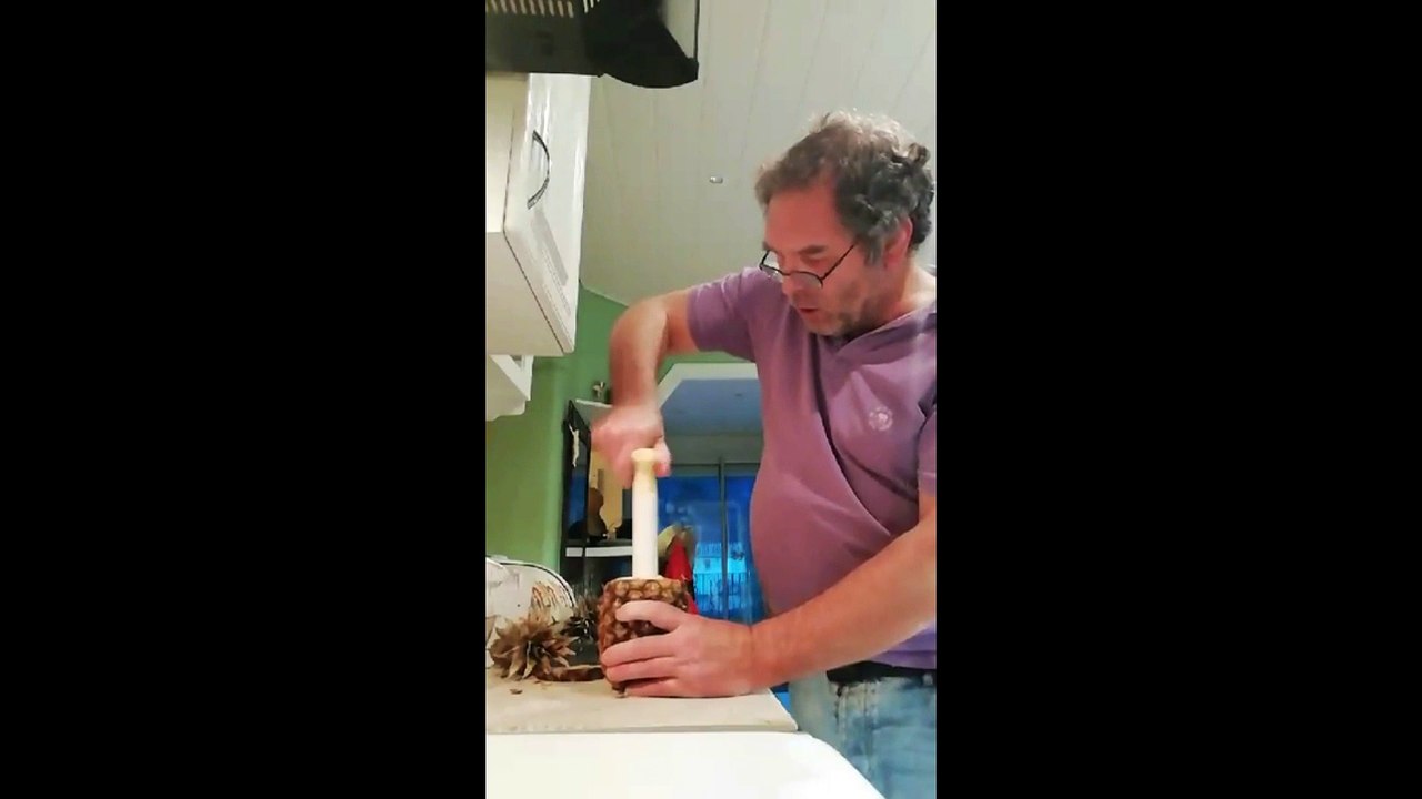 LA COUPE D UN ANANAS