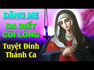 Thánh Ca Dâng Mẹ - Nguyễn Hồng Ân  Tuyệt Đỉnh Thánh Ca Hay Nhất Dâng Mẹ Maria
