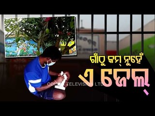 Special Story | Jaleswar Jail Inmates Learn New Skills