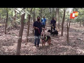 Rourkela Police Rescue 2 Missing Minor Girls From Jungle