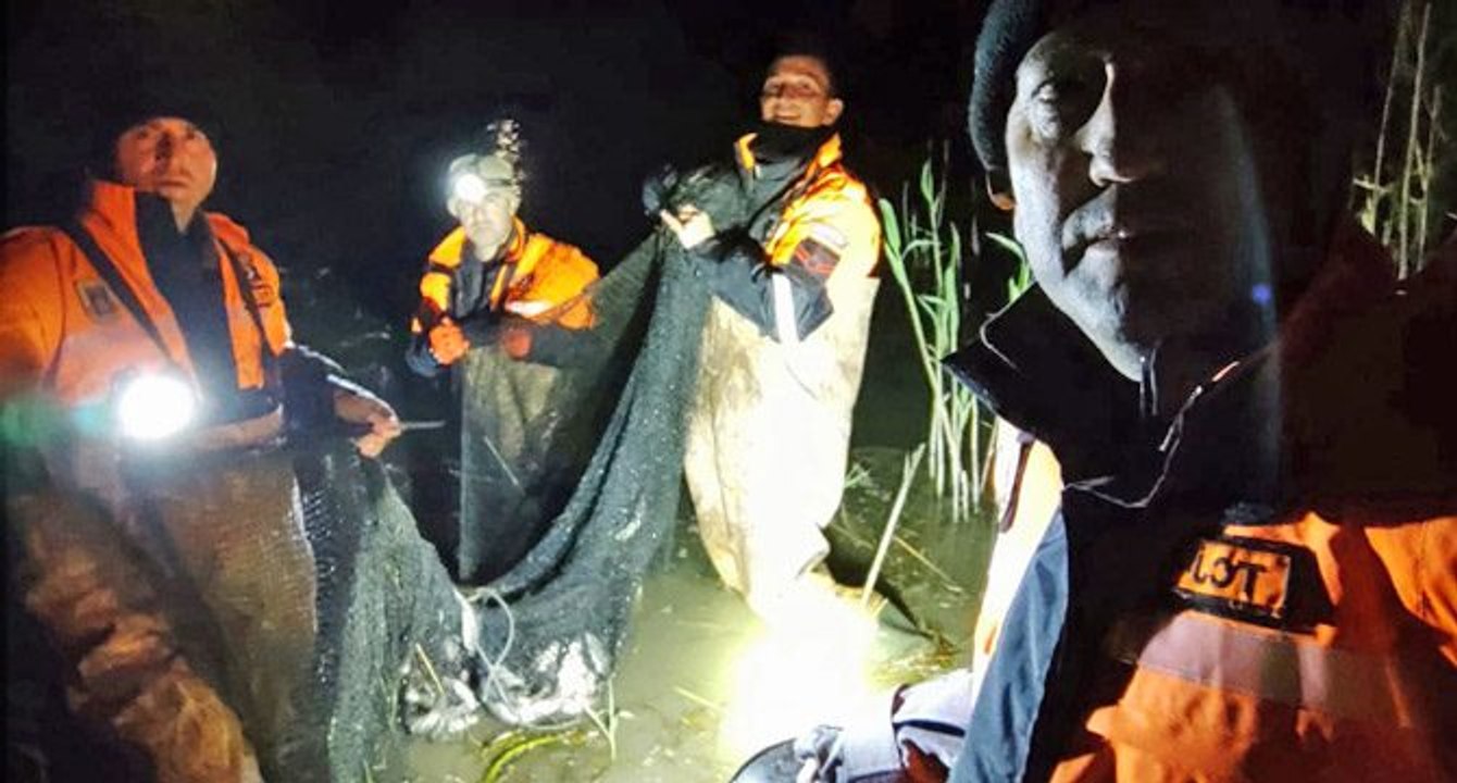 Kaçak avlanan 15 ton ‘canlı balık’ tekrar suya bırakıldı