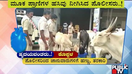 ಕೊಪ್ಪಳದಲ್ಲಿ ಜಾನುವಾರುಗಳಿಗೆ ಹಣ್ಣು-ತರಕಾರಿ ನೀಡಿ ಹಸಿವು ನೀಗಿಸಿದ ಪೊಲೀಸರು | Koppal