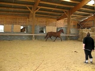 1er vertical main D 2