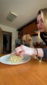 Patient Doggy Waits for Permission to Eat Pasta