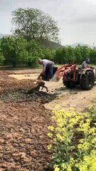 Saatlerce bataklıkta kurtarılmayı bekledi