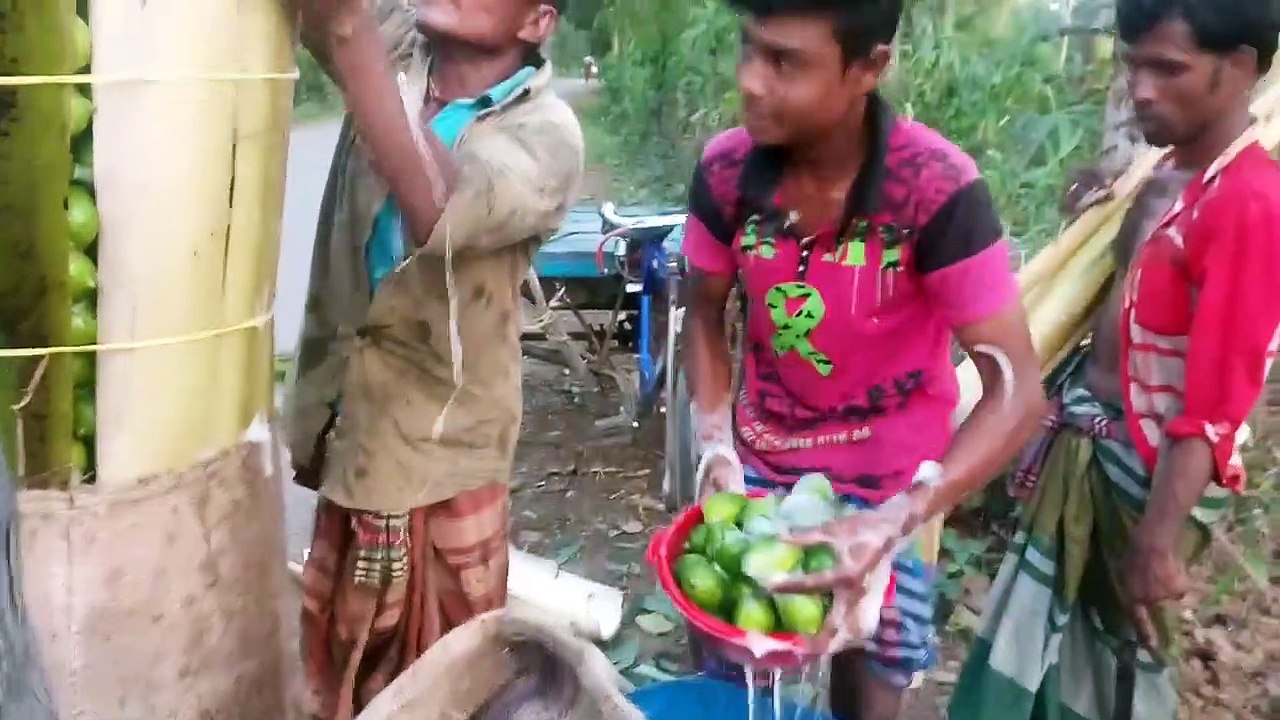 লেবুতে শ্যাম্পু ফরমালিন দিচ্ছে অসাধু ব্যবসায়ী।