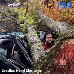 Il évite la mort de peu, après qu'un arbre frappé par la foudre se soit écrasé sur sa voiture