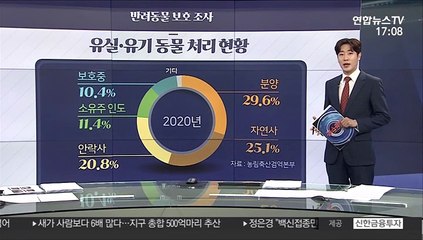 [그래픽뉴스] 반려동물 보호 조사