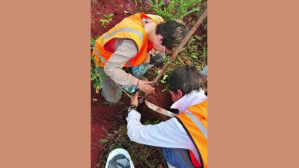Incroyable recherche : du métal dans les sols