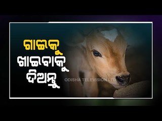 Bhagya Rekha - Know Your Horoscope For Today 12 April 2021 | OTV
