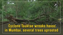 Cyclone Tauktae wreaks havoc in Mumbai, several trees uprooted  