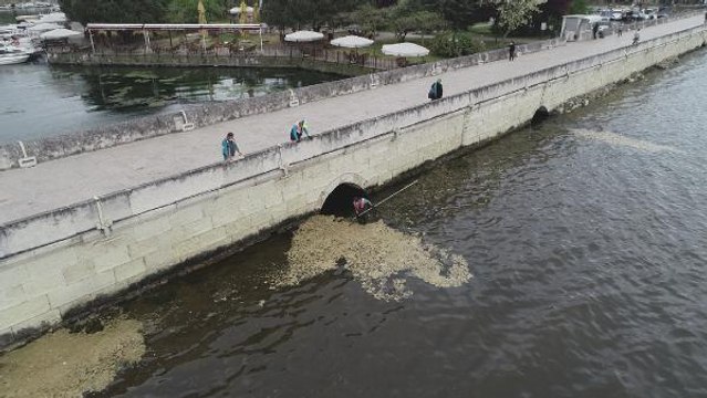 KÜÇÜKÇEKMECE GÖLÜ'NDEKİ DENİZ SALYASI TEMİZLENİYOR